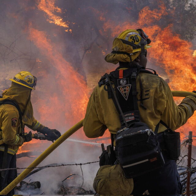 Евакуация заради голям пожар: Извънредно положение в Калифорния