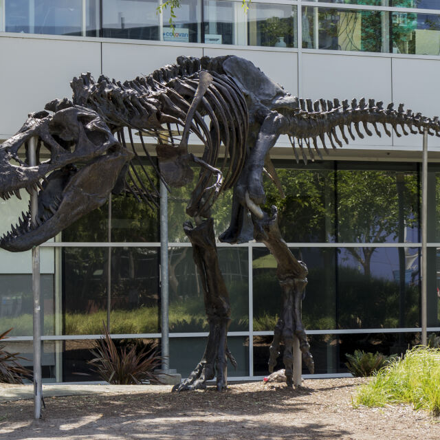 Продадоха скелет на динозавър за 6,1 милиона долара на търг в Ню Йорк