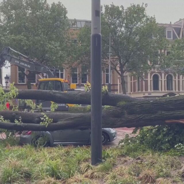 Бурята „Поли“ връхлетя Нидерландия, блокирани са въздушният и жп транспортът (ВИДЕО)