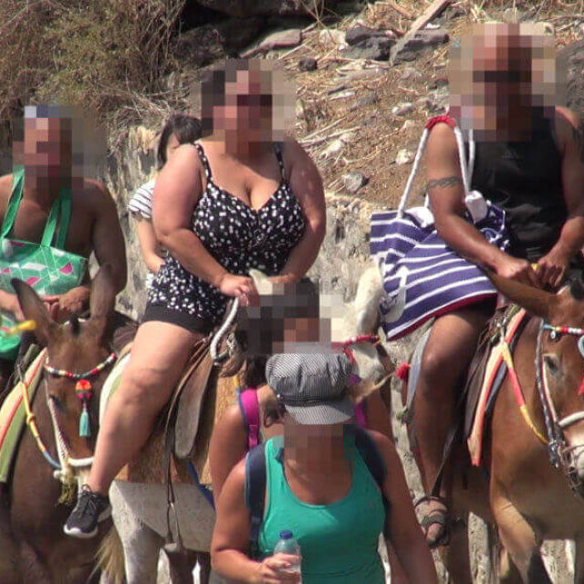 Да се движиш с магаре за 10 евро: Природозащитници критикуват Санторини