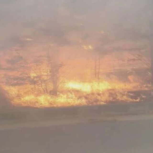 Пожар в Бургаско (ВИДЕО)