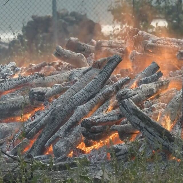 Локализиран е пожарът в Бургаско, хората се подготвят за нощно дежурство