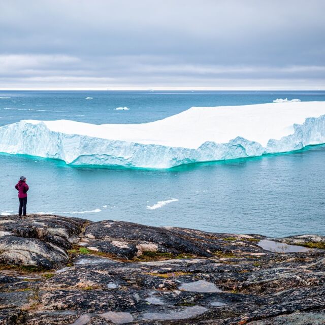  Рекордни жеги: Топят се ледовете на Гренландия (СНИМКИ) 