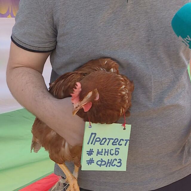 „Кокошката спря да снася“: Протест на КНСБ около Народното събрание