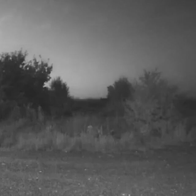 Метеор над България: Явлението е последвано от гръм и тътен (ОБЗОР)