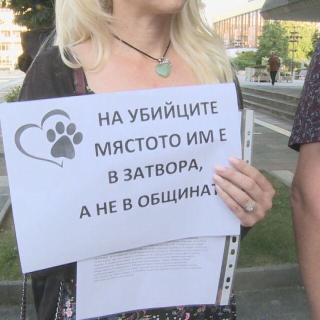 Полицията арестува общински служители в Благоевград след сигнал за убийства на кучета