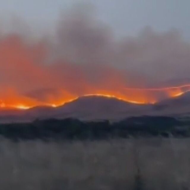 Овладян е пожарът в Бургаско