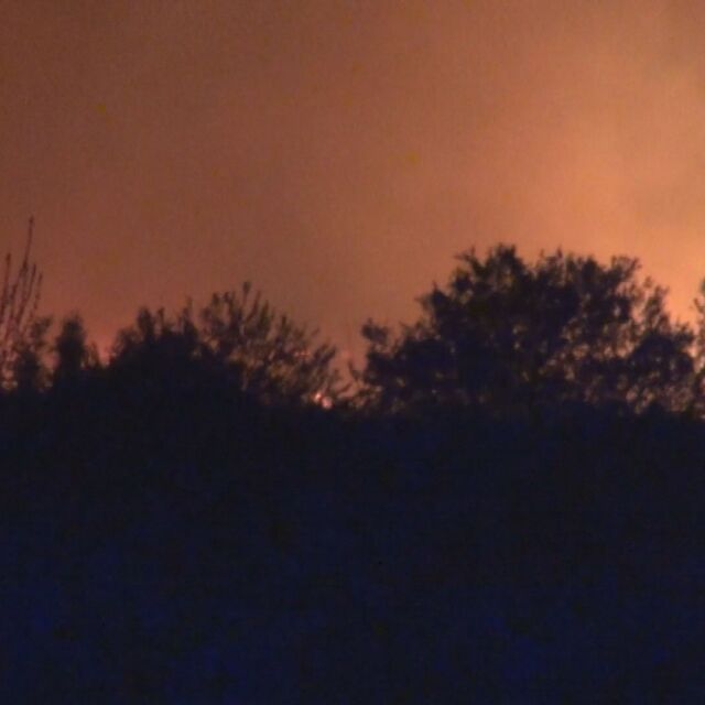 Пожарът край Бургас: Вероятно причината е незагасена цигара
