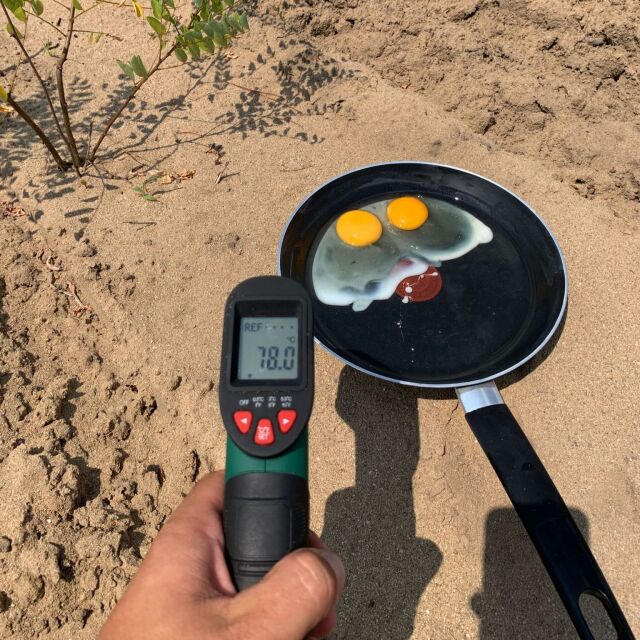 78 градуса: Румънец пържи яйца на слънце без огън, за да докаже колко е горещо (СНИМКИ)