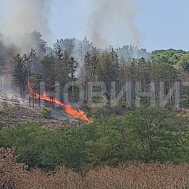 Голям пожар бушува в Русе, огънят е тръгнал от жп линия
