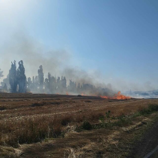 Пожар гори край софийската махала Бобен