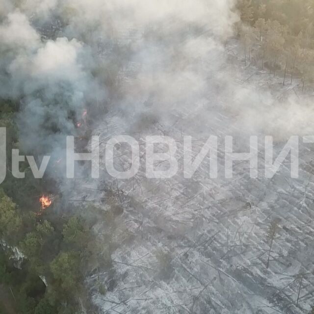Огънят край Русе е напълно овладян, съобщиха от пожарната 