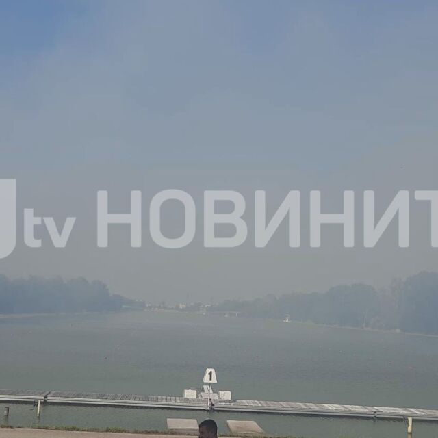 Пожар до Гребната база в Пловдив (СНИМКИ+ВИДЕО)