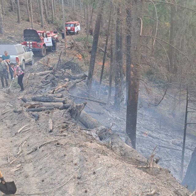 Пожарникари и доброволци гасят пожар в гората над село Ресилово