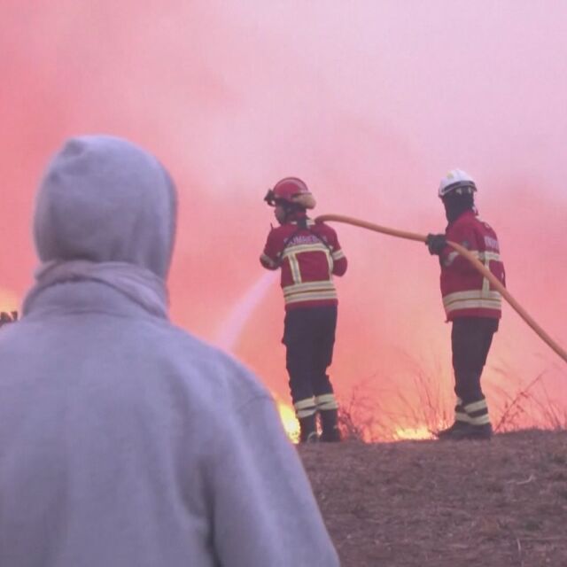 7 жертви на пожарите в Европа, други виждат как домовете им се превръщат в дим