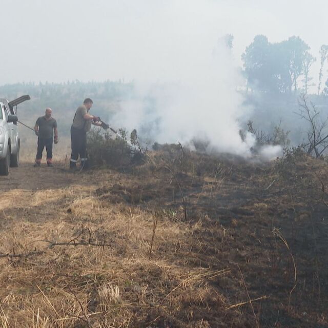 Времето се разхлади, но пожарите останаха: Огънят край Пазарджишко пак се разгоря (ОБЗОР)