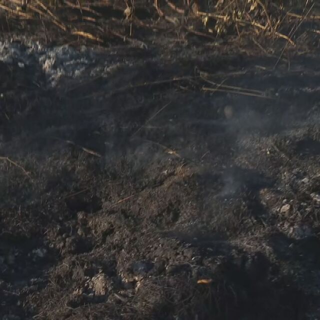 Пожарите в Хасково: Трети ден продължава битката с огъня
