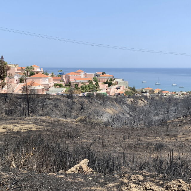 След пожарите в Гърция: Как туристическият бранш се справя с извънредната ситуация?