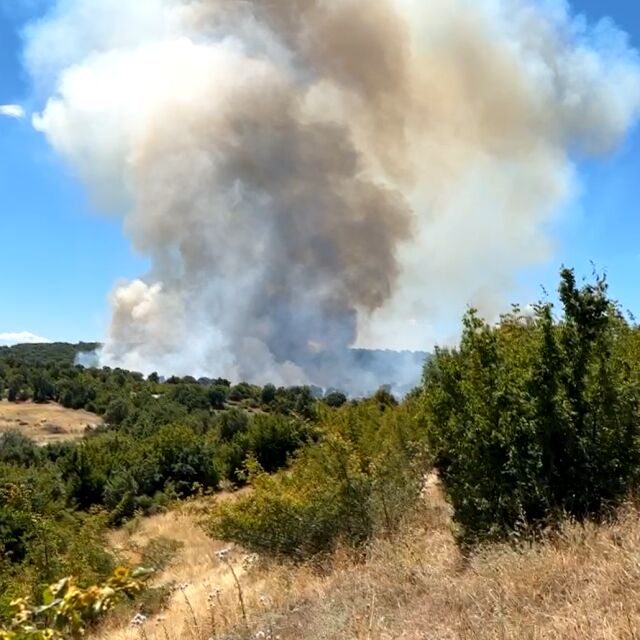 Голям горски пожар до ивайловградското село Свирачи (ВИДЕО)