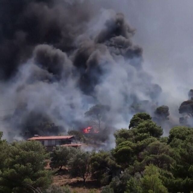 51 огнища за 24 часа: Един човек загина, а 8 са арестувани при пожарите в Гърция