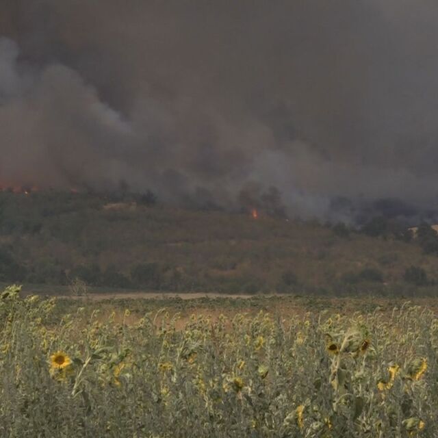  Пожарът в Свиленградско обхвана повърхност над 100 000 декара 