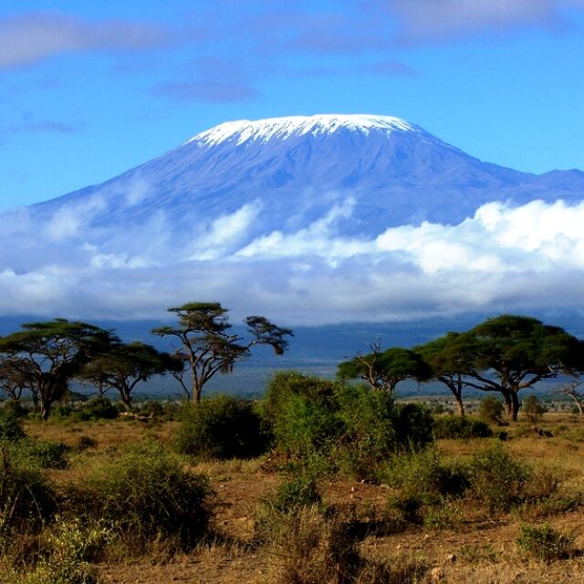 Канадец без крака изкачи Килиманджаро