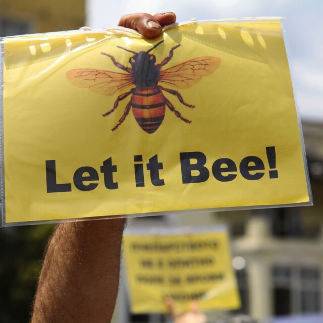 Пчеларите протестираха пред парламента (СНИМКИ)