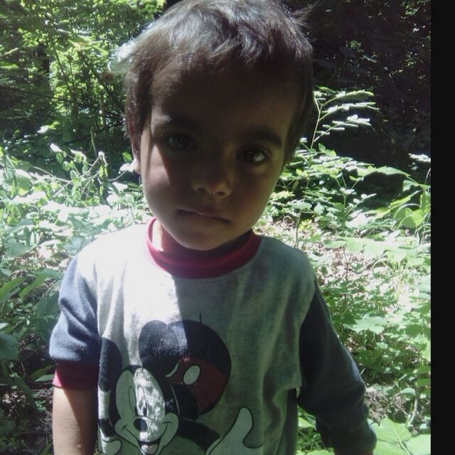 Издирват тригодишно дете, изгубило се в гора край русенското село Смирненски