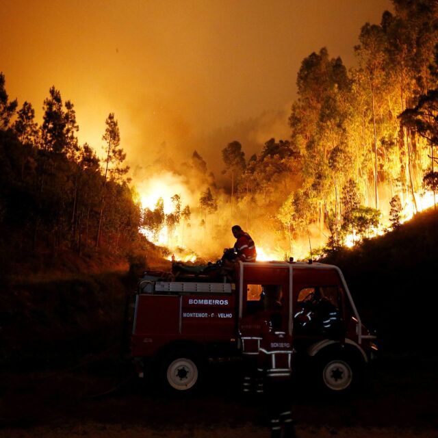 Тридневен траур в Португалия заради жертвите на горския пожар