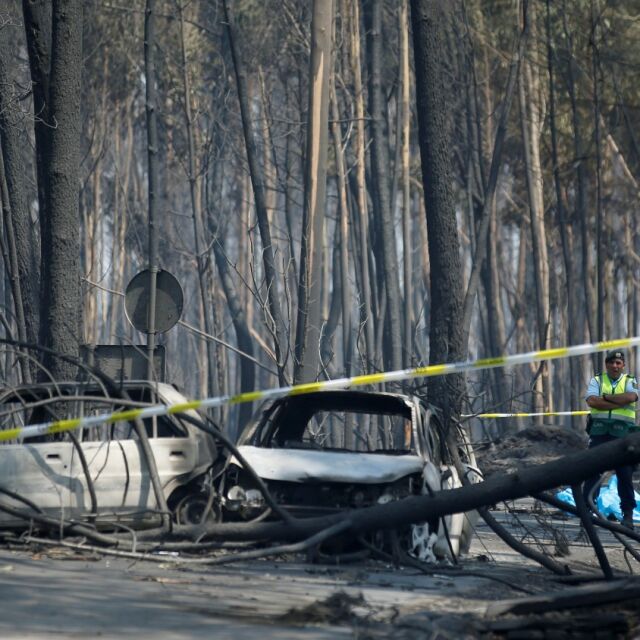 Броят на жертвите на горския пожар в Португалия надхвърли 60