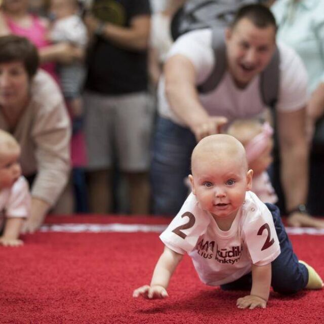 В Литва бебешкото пълзене е превърнато в спорт с традиции (ВИДЕО)
