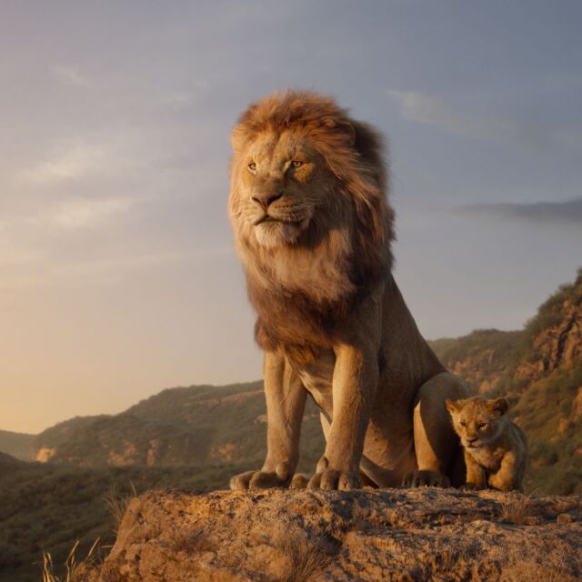 Новият "Цар Лъв" помага на изчезващите диви животни в Африка