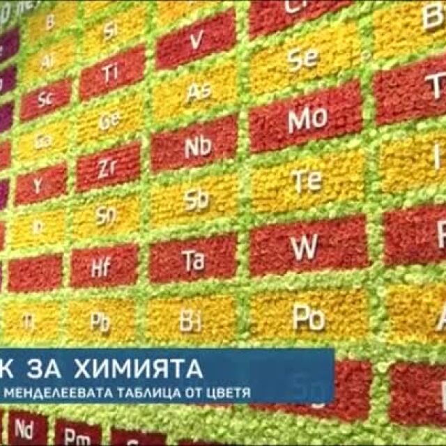В чест на таблицата на Менделеев: В Русия я пресъздадоха от цветя