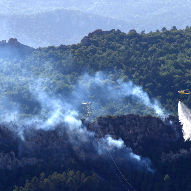 Голям пожар изпепели 3600 хка в Каталуния