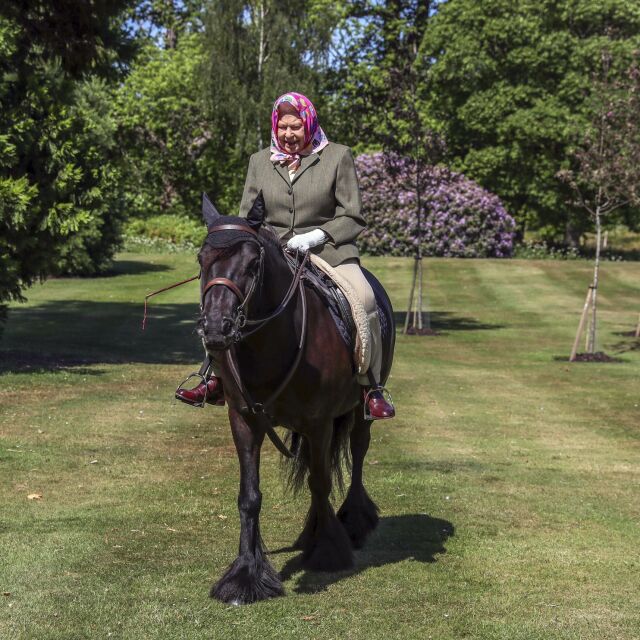 Да яздиш кон на 94-годишна възраст – Елизабет II се справя отлично