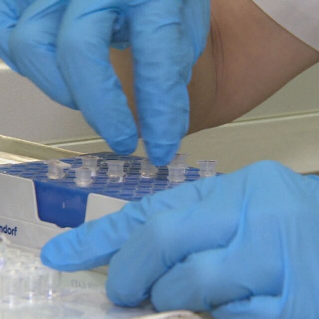 Най-масовото тестване у нас: Над 1100 изследвани, нито един с положителен PCR