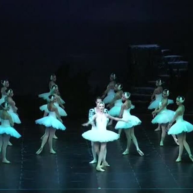 Опера и балет на открито: Поставят "Лебедово езеро" в Панчаревското езеро