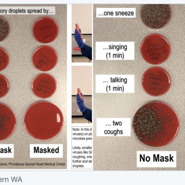 Пазят ли маските: Лесен експеримент показва колко важни са те (СНИМКИ)
