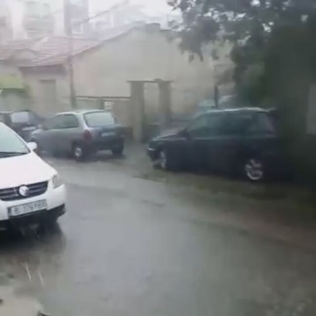 Силна лятна буря над Варна: Голямо дърво падна и блокира движението на улица 