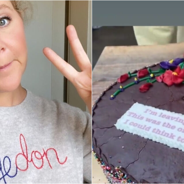 Ейми Шумър на 40: Съпругът й поднесе торта с надпис "Напускам те!"