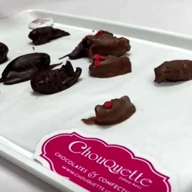 Шоколадово изкушение: Бонбони с цикади се превърнаха в хит (ВИДЕО)