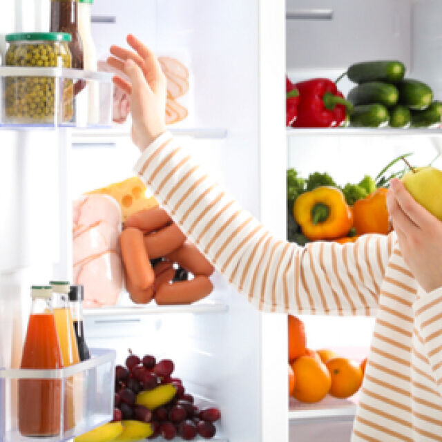 Какво трябва да знаем при избора на хладилник?