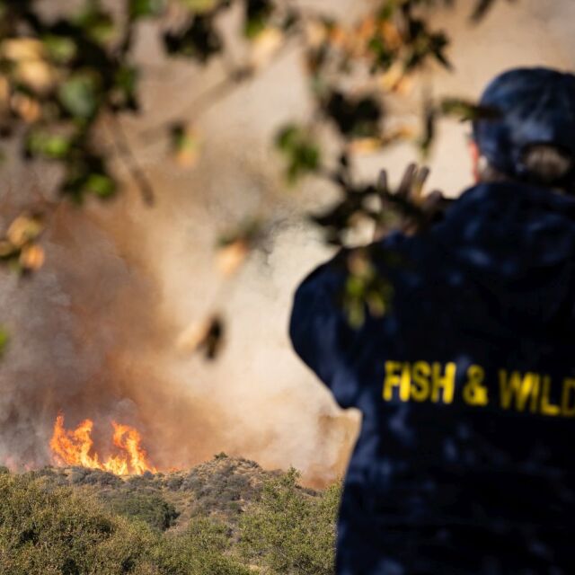 Хиляди огнеборци се борят с горски пожари в Калифорния