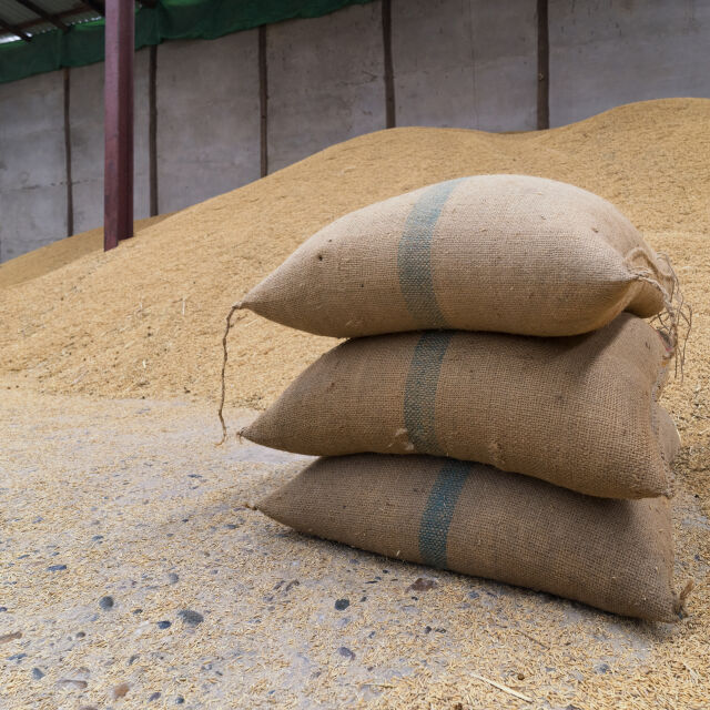 Египет е закупил 50 000 тона пшеница от България, според "Ал Арабия" 