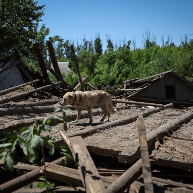 Зеленски нареди задължителна евакуация на цивилни от Донецка област
