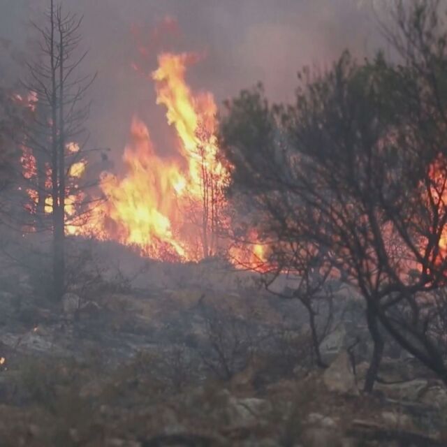 Няколко европейски страни изпращат противопожарни екипи в Гърция