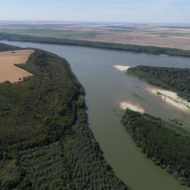 „Есетрите – Ветрен” е най-новата защитена местност на река Дунав