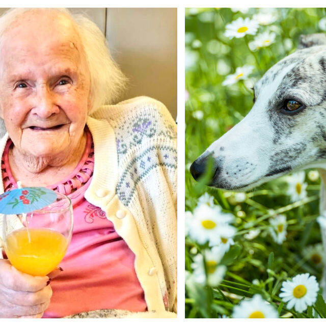 Тайната за дълъг живот на тази 108-годишна баба: Имала много кучета, но не и деца