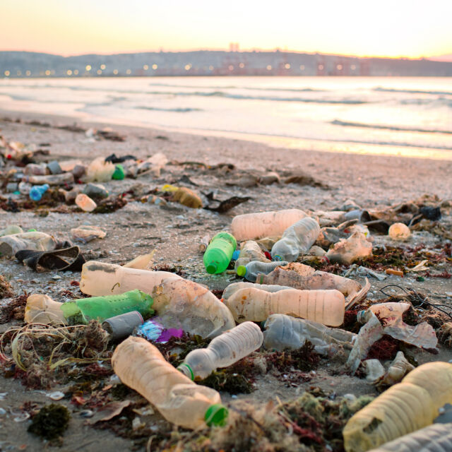 За минута се продават милион пластмасови бутилки вода: Как да намалим употребата им?