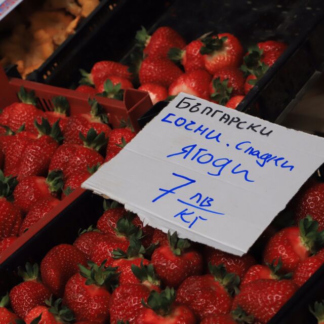 Солени цени на ягоди и череши отказват софиянци да правят сладко (ВИДЕО)